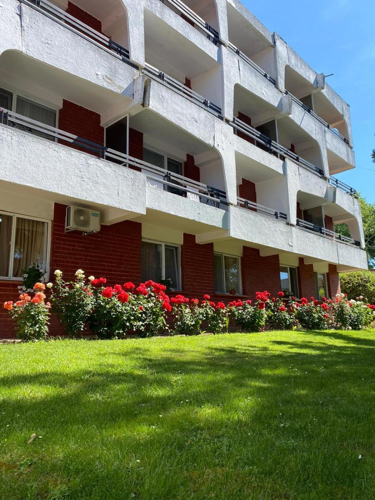 Hotel Rodica Venus Exterior foto